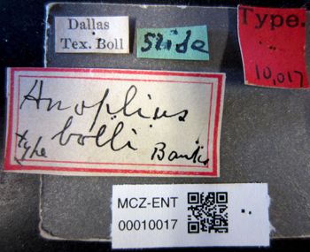 Media type: image;   Entomology 10017 Aspect: labels